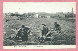 67 - HÖRDT - HOERDT - Ernte Der Spargeln - Récolte Des Aspèrges - Editeur DOBER - STRASSBURG - Autres & Non Classés