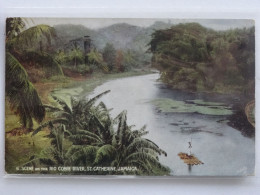 JAMAICA   Rio Cobre River  St Catherine  NO 49 - Other & Unclassified