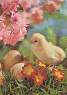 OSTERN HUHN EI Vintage Ansichtskarte Postkarte CPSM #PBP119.DE - Easter