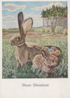 OSTERN KANINCHEN Vintage Ansichtskarte Postkarte CPSM #PBO553.DE - Easter