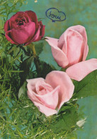 FLOWERS Vintage Ansichtskarte Postkarte CPSM #PAR984.DE - Fiori