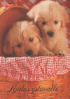 HUND Tier Vintage Ansichtskarte Postkarte CPSM #PAN761.DE - Chiens