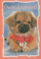 HUND Tier Vintage Ansichtskarte Postkarte CPSM #PAN827.DE - Perros