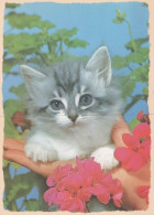 KATZE MIEZEKATZE Tier Vintage Ansichtskarte Postkarte CPSM #PAM185.DE - Katzen