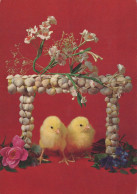 PASCUA POLLO HUEVO Vintage Tarjeta Postal CPSM #PBO677.ES - Easter