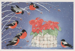 Feliz Año Navidad PÁJARO Vintage Tarjeta Postal CPSM #PBM734.ES - Nouvel An