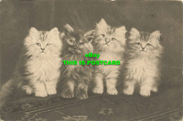 R587825 Cats. Kittens. C. W. Faulkner. Series 1422. 1917 - Mondo