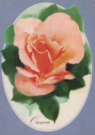 FLORES Vintage Tarjeta Postal CPSM #PAS283.ES - Fleurs