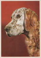 PERRO Animales Vintage Tarjeta Postal CPSM #PAN431.ES - Chiens