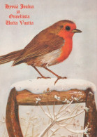 PÁJARO Animales Vintage Tarjeta Postal CPSM #PAN061.ES - Vogels