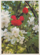 FLEURS Vintage Carte Postale CPSM #PBZ511.FR - Flowers