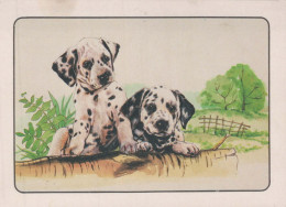 CHIEN Animaux Vintage Carte Postale CPSM #PBQ589.FR - Chiens