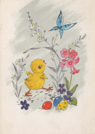 PÂQUES POULET ŒUF Vintage Carte Postale CPSM #PBO994.FR - Easter