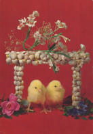 PÂQUES POULET ŒUF Vintage Carte Postale CPSM #PBO678.FR - Easter