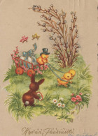 PÂQUES LAPIN Vintage Carte Postale CPSM #PBO364.FR - Easter