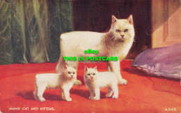 R587848 Manx Cat And Kittens. A. 243. Art Colour Postcard. Brian Gerald. Valenti - Welt