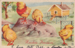 EASTER CHICKEN EGG Vintage Postcard CPA #PKE373.GB - Easter