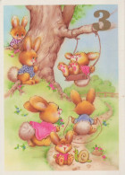 RABBIT Animals Vintage Postcard CPSM #PBR099.GB - Andere & Zonder Classificatie