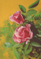 FLOWERS Vintage Postcard CPSM #PAS162.GB - Fiori