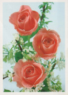 FLOWERS Vintage Postcard CPSM #PAR921.GB - Fiori