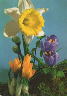 FLOWERS Vintage Postcard CPSM #PAR079.GB - Flowers