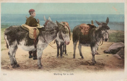 ÂNE Animaux Enfants Vintage Antique CPA Carte Postale #PAA331.FR - Burros