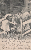 ÂNE Animaux Enfants Vintage Antique CPA Carte Postale #PAA168.FR - Donkeys