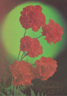 FIORI Vintage Cartolina CPSM #PBZ032.IT - Flowers