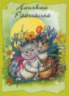 GATTO KITTY Animale Vintage Cartolina CPSM #PBQ789.IT - Katzen