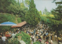 Chianciano Terme(siena) - Stabilimento Termale S.elena - Il Parco E La Mescita - Viaggiata - Siena