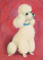 CANE Animale Vintage Cartolina CPSM #PAN828.IT - Perros