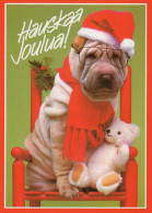 CANE Animale Vintage Cartolina CPSM #PAN499.IT - Cani