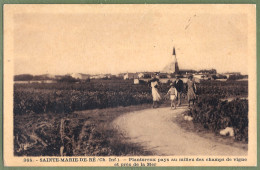 CPA Vue Peu Courante - SAINTE MARIE DE RÉ - PLANTUREUX PAYS AU MILIEU DES CHAMPS DE VIGNE PRES DE LA MER -  Animation - Ile De Ré