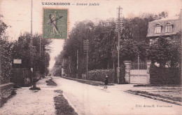 Vaucresson - Avenue Andrée -  CPA °J - Vaucresson