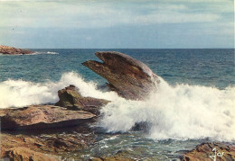 *CPM - 56 - PRESQU'ILE DE QUIBERON - L'Aigle Un Jour De Tempête - Quiberon