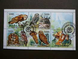 Owls. Eulen. Les Hiboux # Comoros # 2011 Used S/s #552 Comores Birds - Uilen
