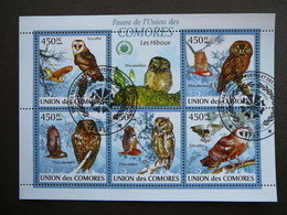 Owls. Eulen. Les Hiboux # Comoros 2009 Used S/s #551 Comores Birds - Uilen