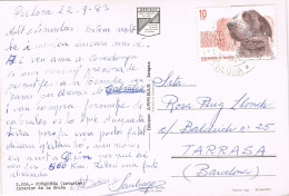 54954. Postal CIUDAD RESIDENCIAL PERLORA (carreño) Oviedo 1983. Fechador Especial . Vista Covadonga. RARO - Cartas & Documentos