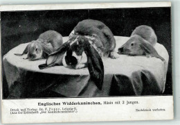 13272406 - Englisches Widderkaninchen Mit Jungen Zeitschirft Der Kaninchenzuechter - Autres & Non Classés