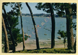 35. DINARD – Cote D'Emeraude – La Baie De La Viconté – La Rance / CPSM (voir Scan Recto/verso) - Dinard