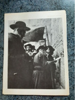 AFFICHE  -  PHOTOGRAPHIQUE  - RABBINS  EN PRIERE DEVANT LE MUR DES LAMENTATIONS A JERUSALEM EN 1967 - Manifesti