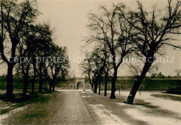 73637253 Terezin Vstupni Brana Do Male Pevnosti Tor Der Kleinen Festung Terezin - Tchéquie