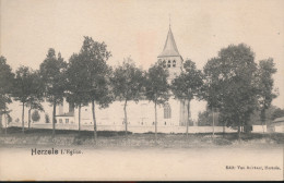 HERZELE     L'EGLISE        ZIE AFBEELDINGEN - Herzele