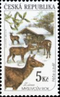 ** 274 Czech Republic Hunting 2000 Deer - Other & Unclassified