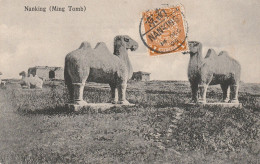 Chine Carte Nankin Pour La France 1909 - Storia Postale