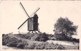 Coxyde Sur Mer -  Koksijde A Zee-   Le Vieux Moulin - De Oude Molen - Koksijde