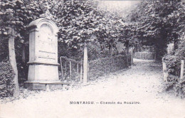 MONTAIGU - SCHERPENHEUVEL - Chemin Du Rosaire - Rozenkrans Weg - Scherpenheuvel-Zichem