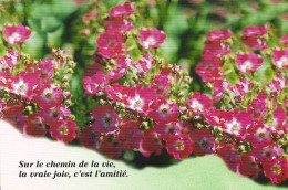 *CPM - Sur Le Chemin De La Vie, La Vraie Joie, C'est L'amitié - Fleurs - Filosofía & Pensadores