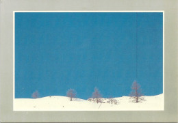 *CPM - Les Joies De La Neige 8509 - Paysage Sous La Neige - Fotografia