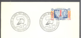 RIEDISHEIM (Centenaire Du Corps Des Sapeurs-pompiers) (sur Enveloppe Entière) - Commemorative Postmarks